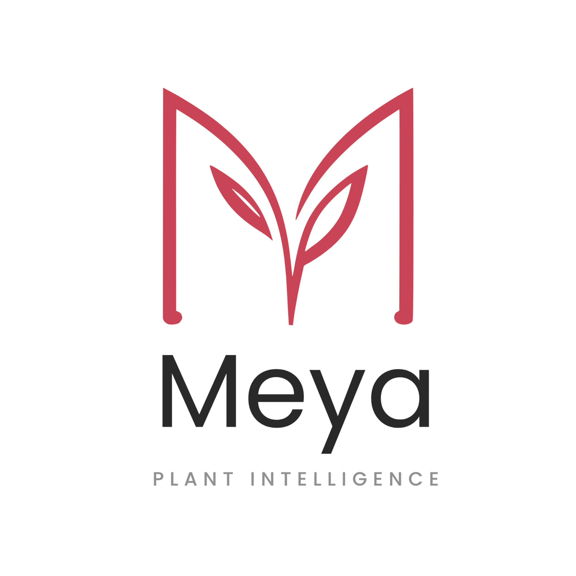Meya